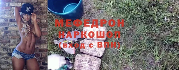 гидра Богородицк