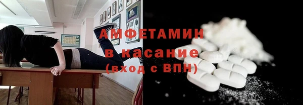 гидра Богородицк
