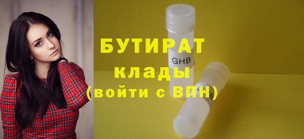 гидра Богородицк