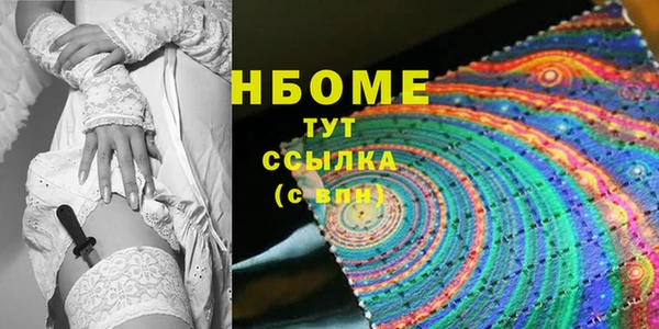 гидра Богородицк