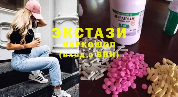 гидра Богородицк