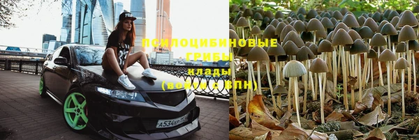 гидра Богородицк