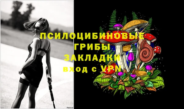 дурь Богородск