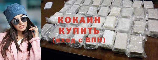 гидра Богородицк