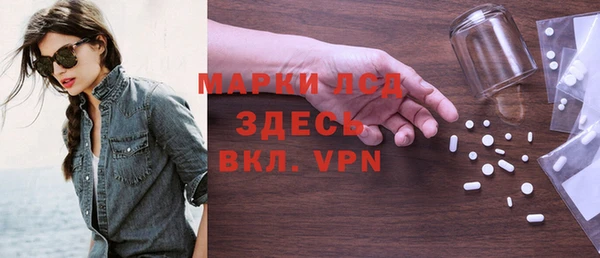 гидра Богородицк