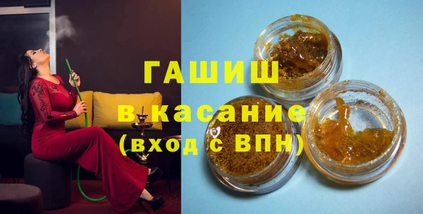 гидра Богородицк