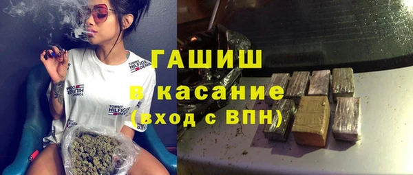 гидра Богородицк